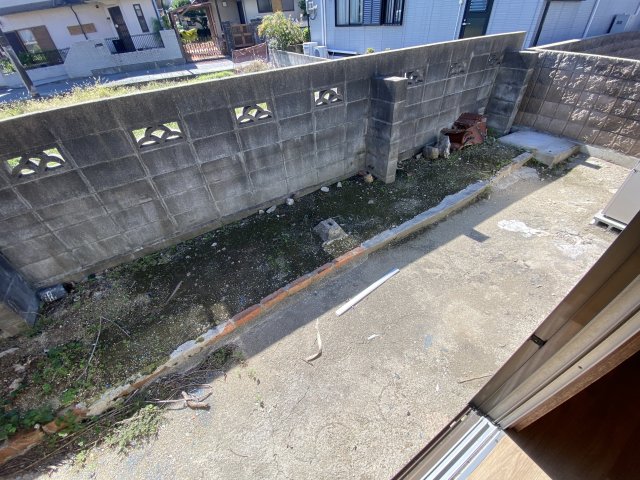 庭
