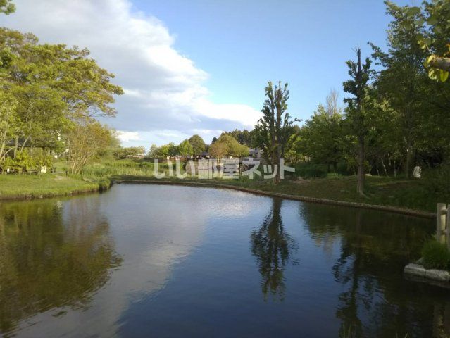 公園　天沼公園（公園）まで257m