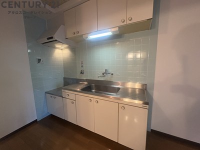 キッチン　大きいシンクで洗い物がしやすい