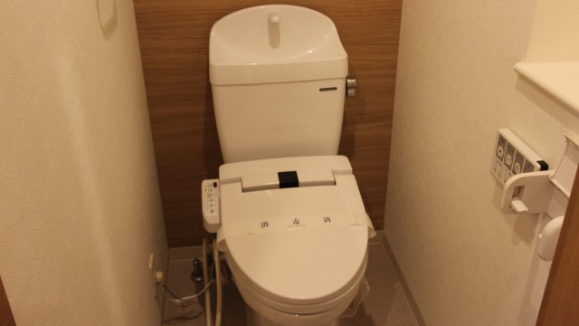 トイレ　同物件、別号室のものです。