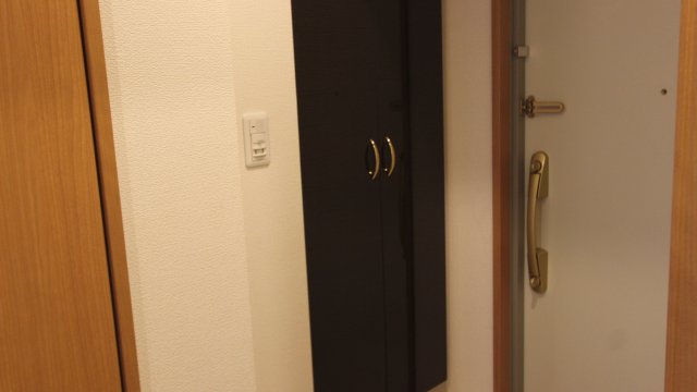 玄関　同物件、別号室のものです。
