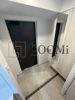 玄関　スプランディッド難波III　玄関