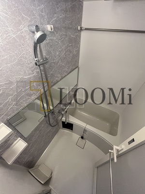 バス・シャワールーム　スプランディッド難波III　浴室