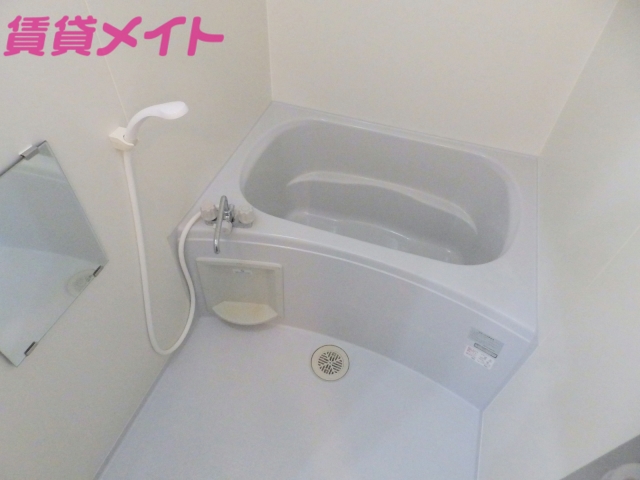 バス・シャワールーム　バス同物件の別部屋のモデル写真となります