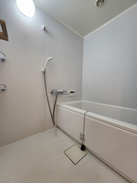 バス・シャワールーム　使いやすいバス空間です