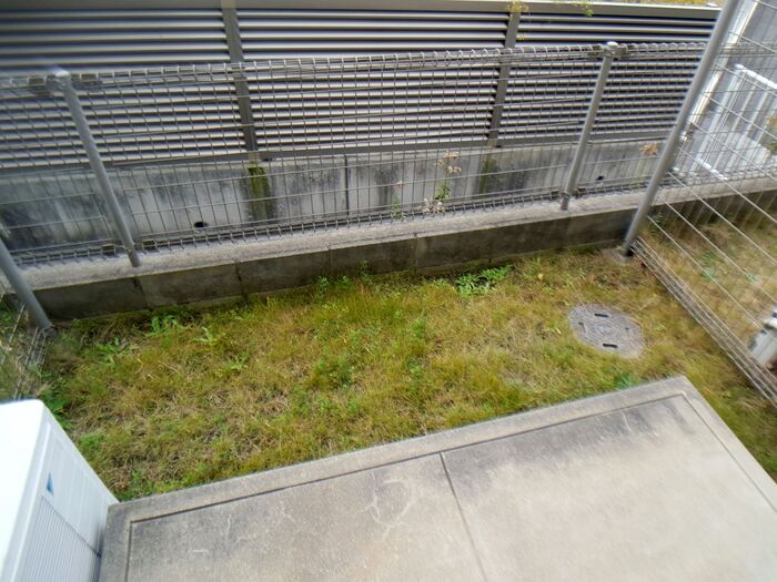 庭　たまにはお庭で休日を過ごしてみるのもよいかもしれません