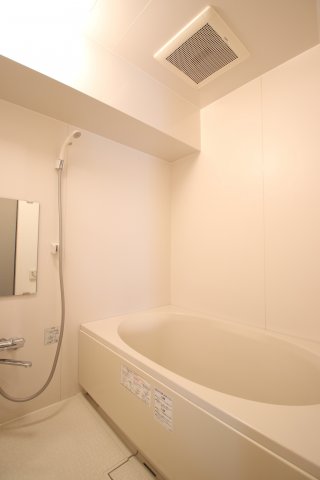 バス・シャワールーム　落ち着いた空間のお風呂です