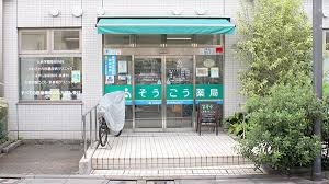 ドラックストア　そうごう薬局大泉学園店（ドラッグストア）まで664m