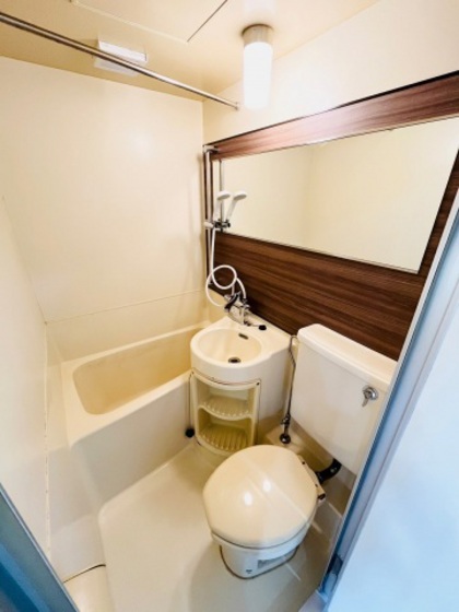 バス・シャワールーム　※別部屋の写真です