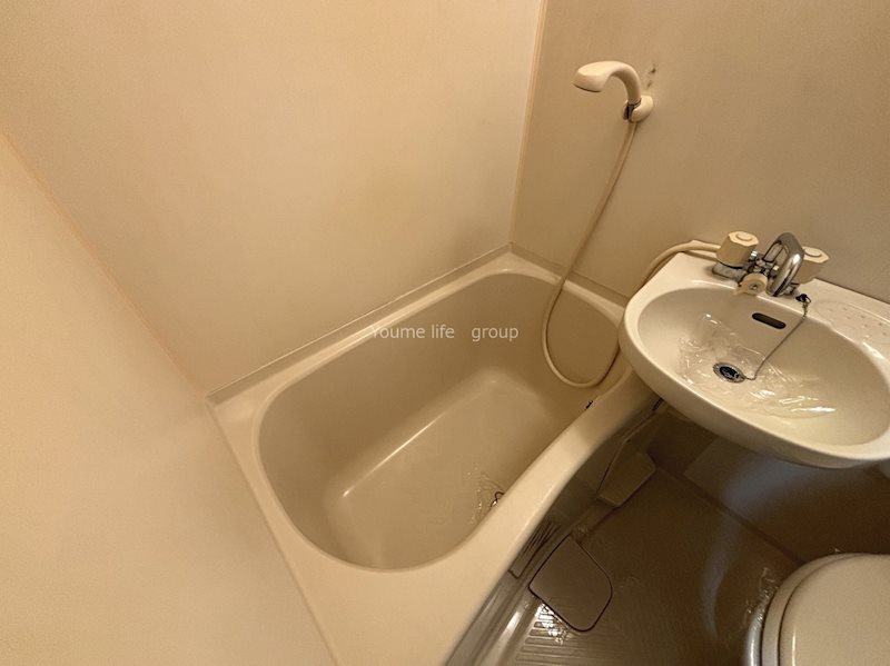 バス・シャワールーム　※別部屋写真参照