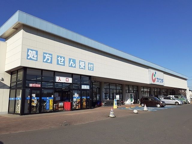 ドラックストア　カワチ薬品坂東店（ドラッグストア）まで540m