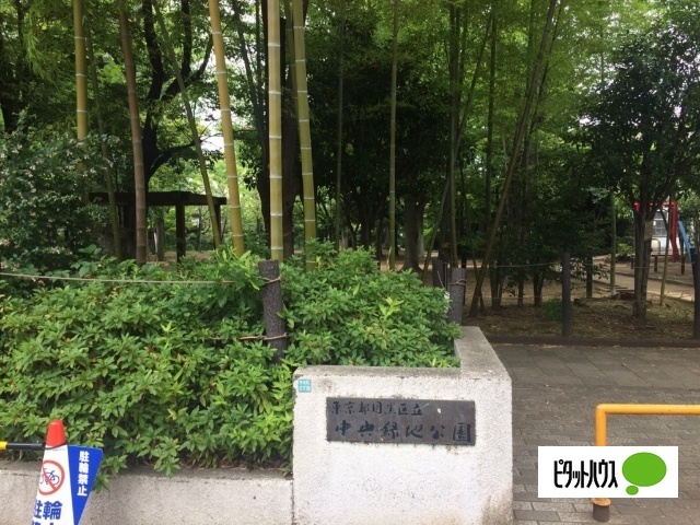 公園　中央緑地公園（公園）まで236m