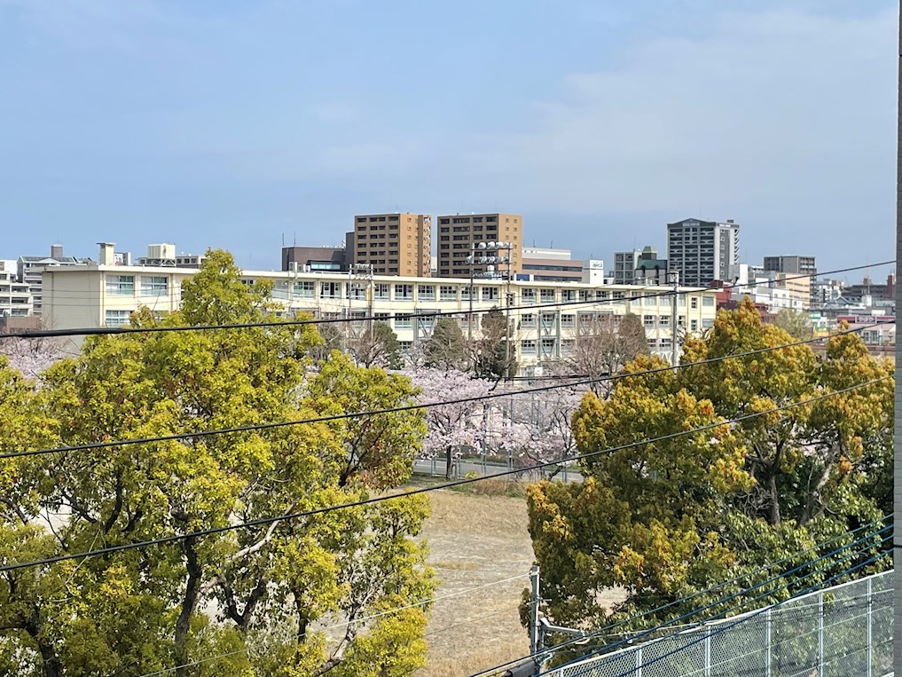 中学校　福岡市立高宮中学校（中学校）まで117m