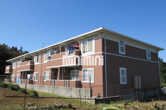 建物外観　お洒落な外観ですよ。