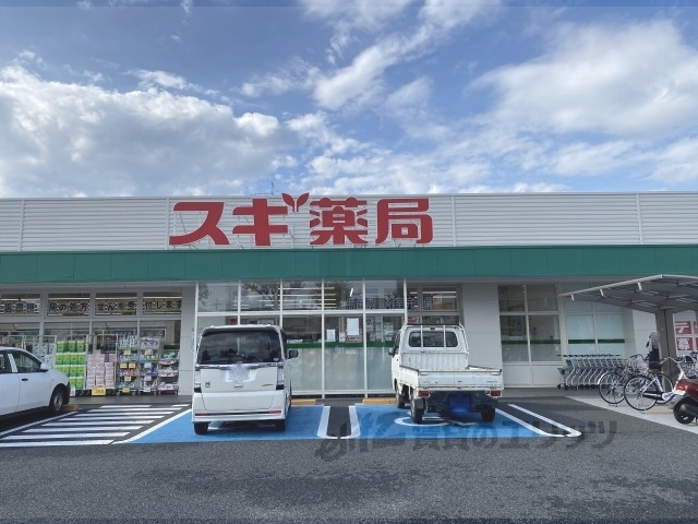 ドラックストア　スギ薬局天理店（ドラッグストア）まで750m