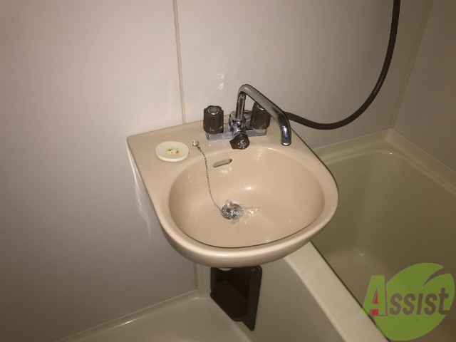 洗面設備　かわいらしい洗面ボウルです。歯磨きもしやすいよね。