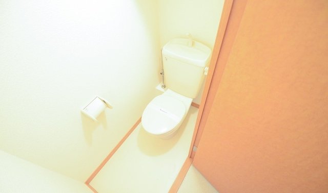 トイレ　写真は別号室です。