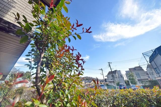 眺望　★お部屋前の景色★