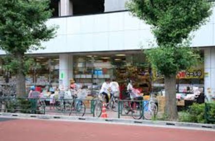 スーパー　オオゼキ 上町店（スーパー）まで664m