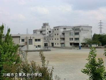 小学校　川崎市立栗木台小学校（小学校）まで397m