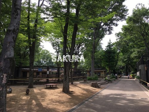 その他　夢見ケ崎動物公園（その他）まで1161m