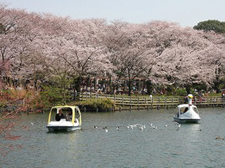 【ディーベース御嶽山の公園】