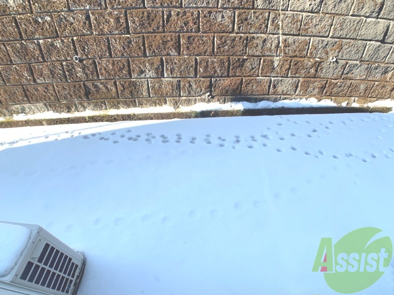 バルコニー　窓を開けたらこのような感じになっております。