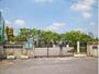 中学校　草加市立花栗中学校（中学校）まで800m