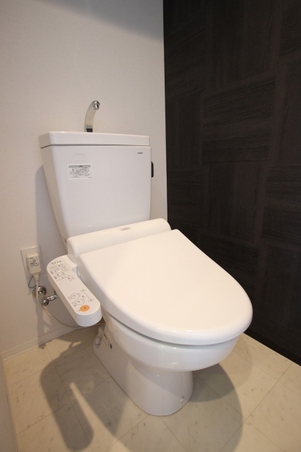 トイレ　同物件、別号室のものです。