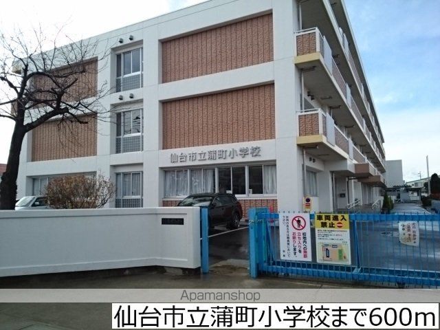小学校　仙台市立蒲町小学校（小学校）まで600m