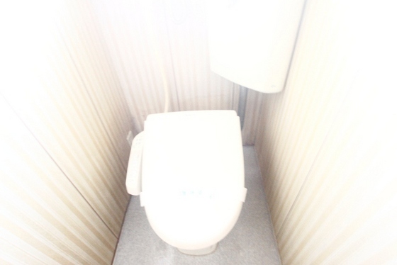 トイレ　※別室の写真を使用しております※