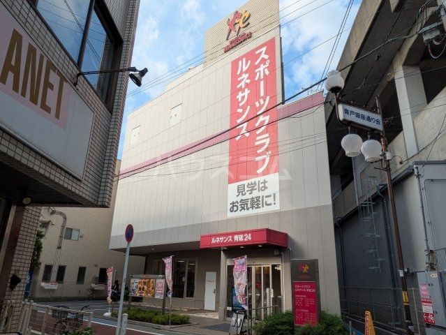 その他　ルネサンス 青砥24（その他）まで1654m