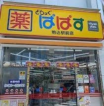 ドラックストア　どらっぐぱぱす駒込駅前店（ドラッグストア）まで250m