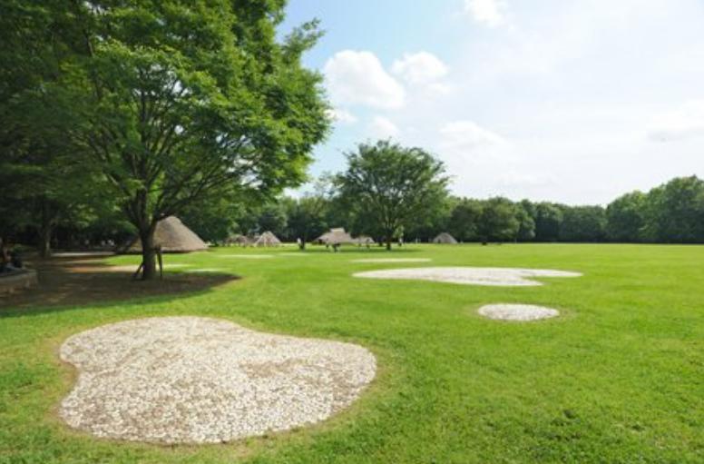 公園　水子貝塚公園（公園）まで656m