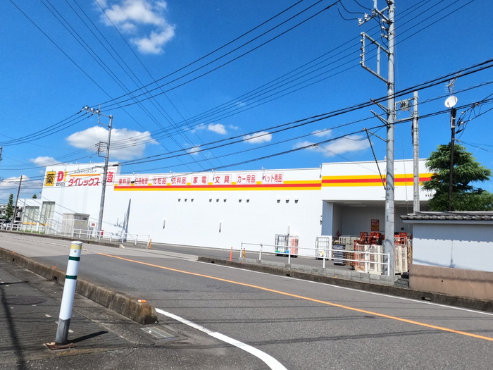 その他　ダイレックス（その他）まで260m