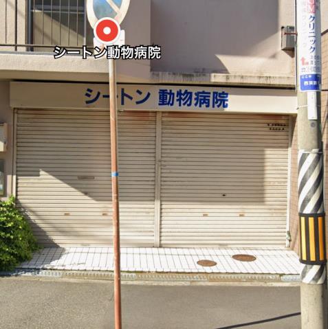 病院　シートン動物病院（病院）まで462m