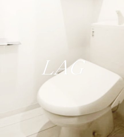 トイレ　トイレです。（同仕様です。）