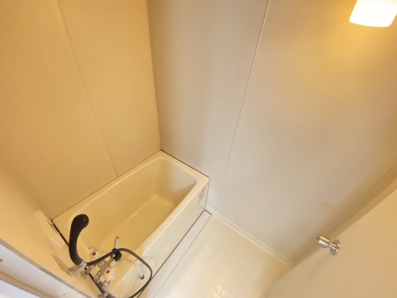 バス・シャワールーム　※別部屋の写真です