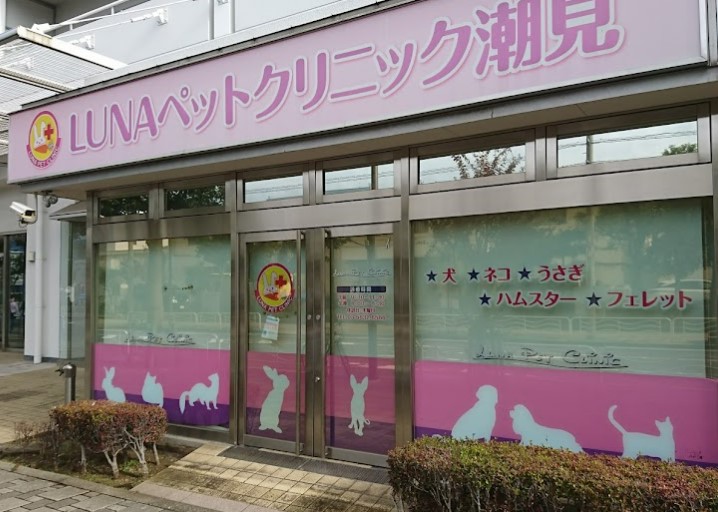 病院　LUNAペットクリニック潮見（病院）まで445m