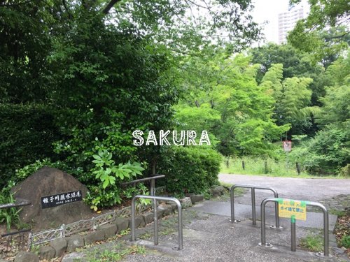 公園　帷子川親水緑道（公園）まで428m