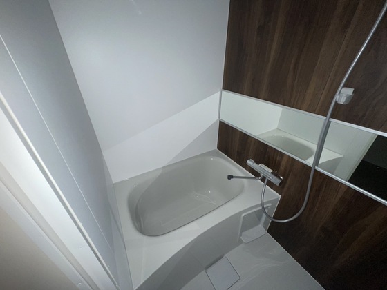 バス・シャワールーム　※別部屋の写真です