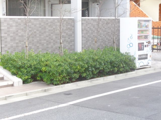 庭　入り口・植栽