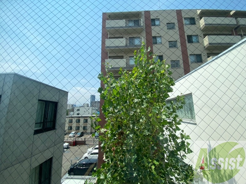 バルコニー　こちらは窓の写真です。開口部分が大きいので明るさがあります。