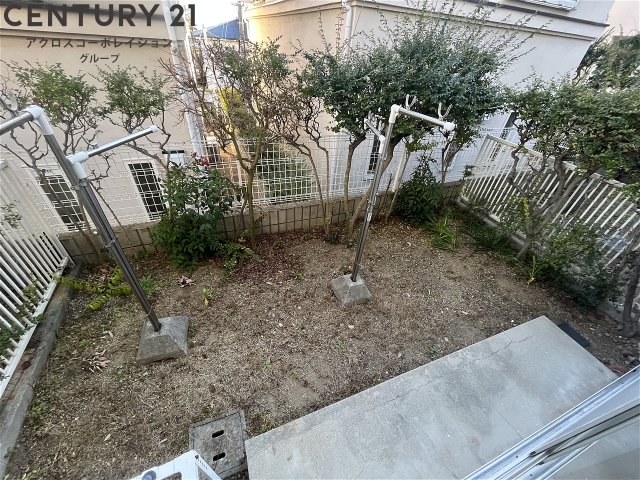 庭