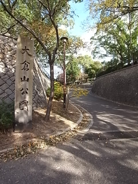 公園　大倉山公園（公園）まで592m