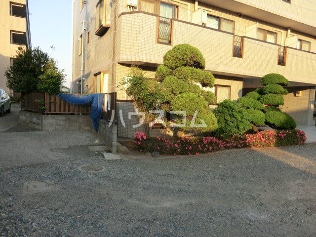 庭