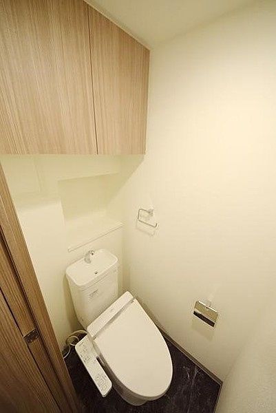トイレ　（別タイプ参考写真）S-RESIDENCE文京小石川　　文京