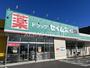 ドラックストア　ドラッグセイムス 柏豊四季店（ドラッグストア）まで566m