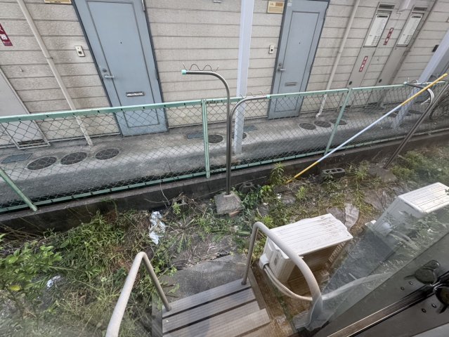 庭