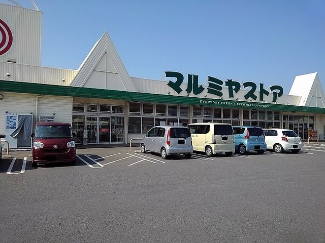 スーパー　マルミヤストア（スーパー）まで550m